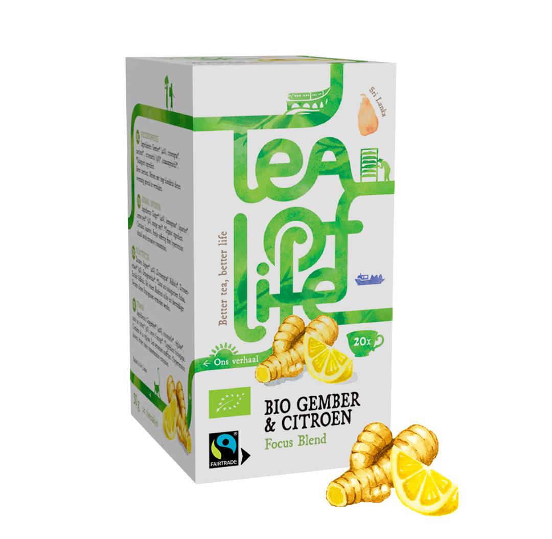 Tea of Life - "Fokus" mit Ingwer und Zitrone